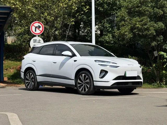 BYD Sealion 06 — Фото автомобиля 6