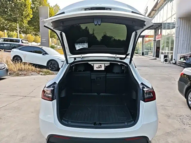 Tesla Model Y — Фото автомобиля 18