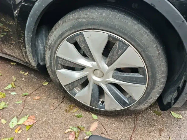Tesla Model Y — Фото автомобиля 8