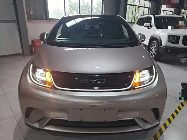BYD Dolphin — Фото автомобиля 2