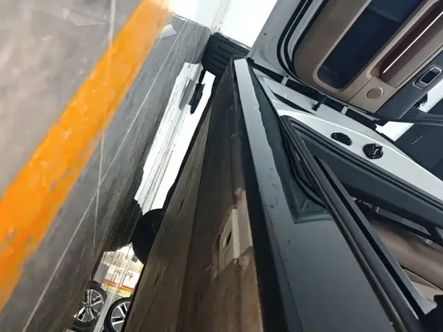 Li Auto MEGA — Фото автомобиля 21