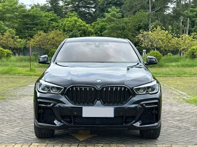 BMW X6 — Фото автомобиля 2