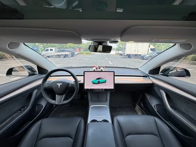 Tesla Model 3 2022 Model Rear-Wheel Drive Version — Фото автомобиля 9