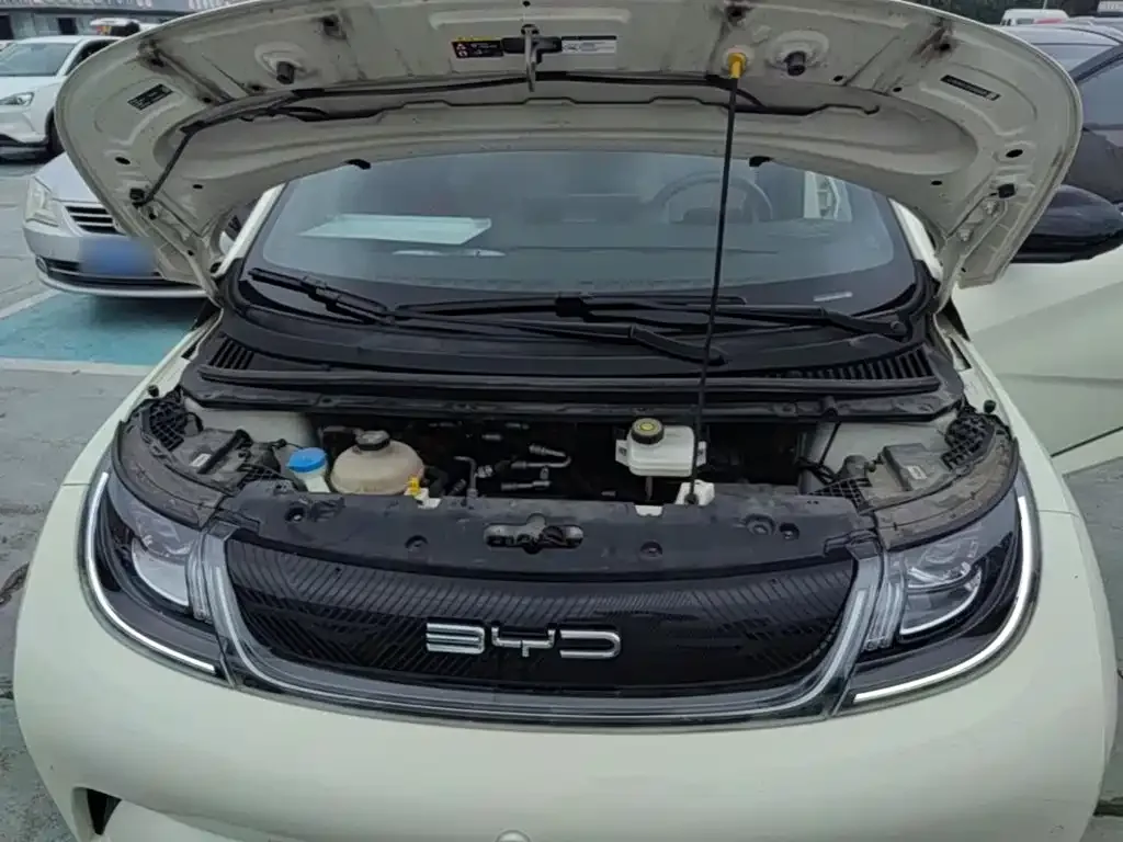 BYD Dolphin 2023 420km Fashion Edition — Фото автомобиля 19