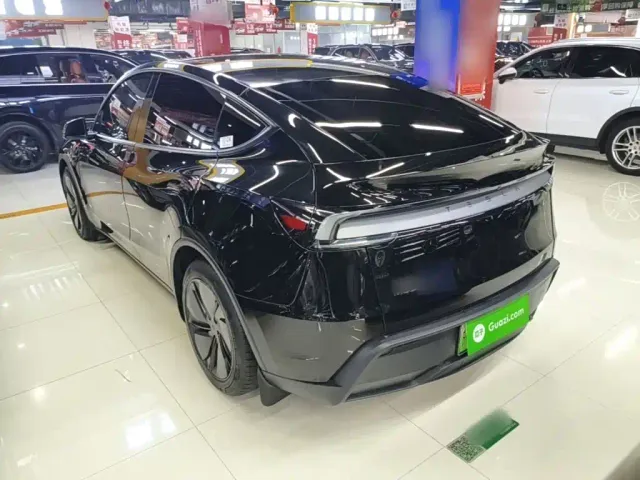 Tesla Model Y — Фото автомобиля 4