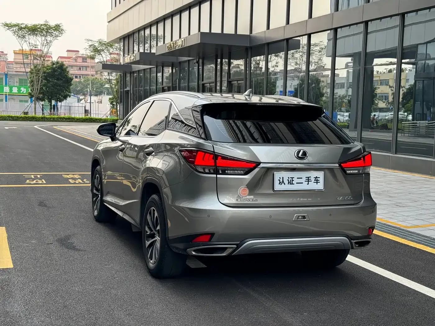 Lexus Lexus RX 2020 300 2WD Elite Edition China VI — Фото автомобиля 16