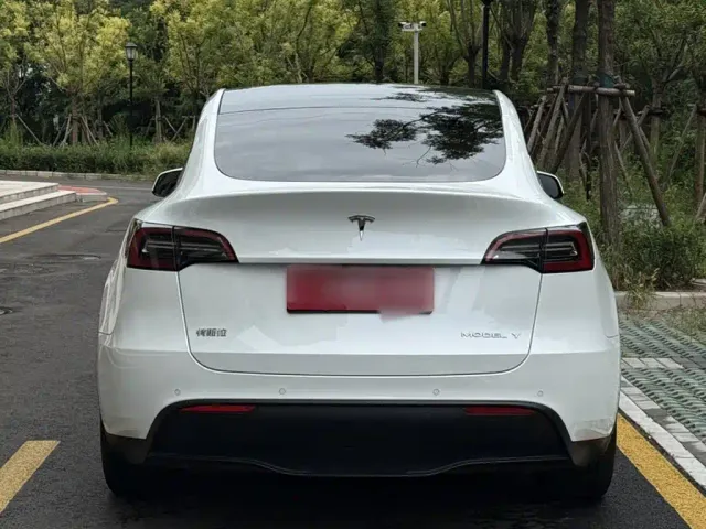 Tesla Model Y — Фото автомобиля 9