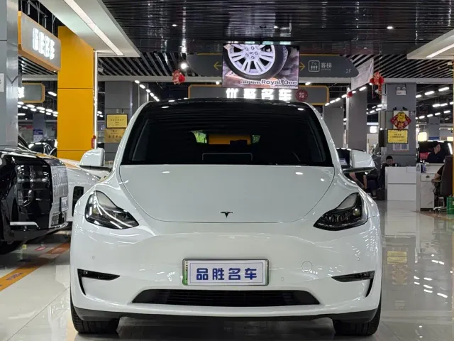 Tesla Model Y — Фото автомобиля 2