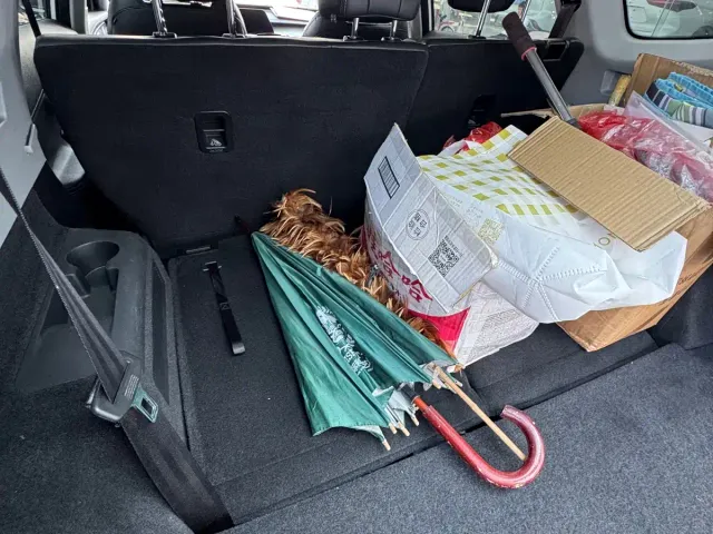 Chery Tiggo 8 PRO — Фото автомобиля 17