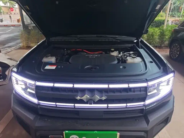 BYD FangChengBao Leopard 5 — Фото автомобиля 19