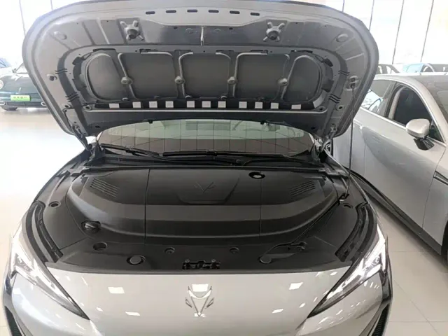 Arcfox Alpha S5 — Фото автомобиля 19