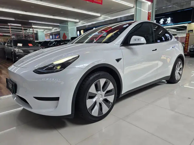 Tesla Model Y — Фото автомобиля 3