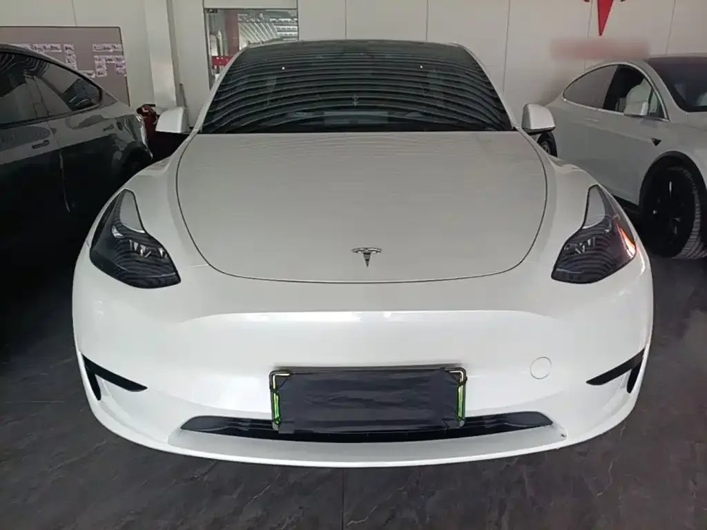 Tesla Model Y 2024 Rear-Wheel Drive Version — Фото автомобиля 2