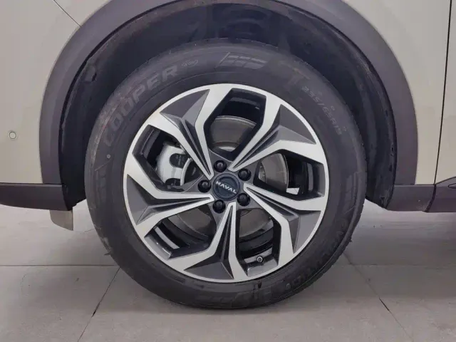 Haval Xiaolong MAX — Фото автомобиля 17