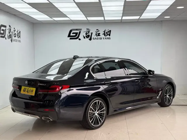 BMW 5 Series — Фото автомобиля 27