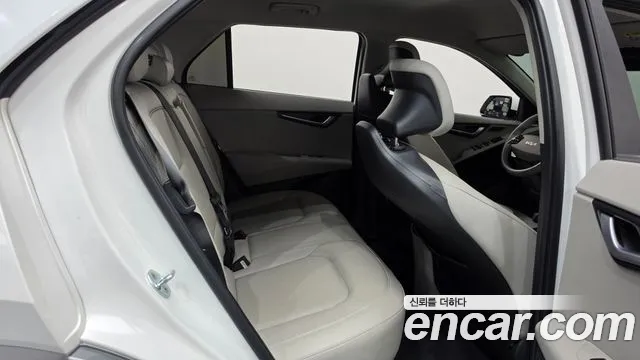 Kia Niro All Niro EV Earth — Фото автомобиля 19