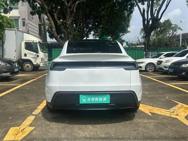 Tesla Model Y — Фото автомобиля 7
