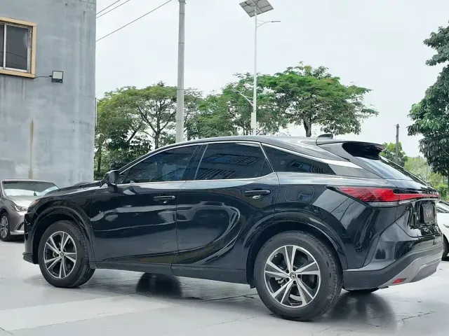 Lexus RX — Фото автомобиля 12