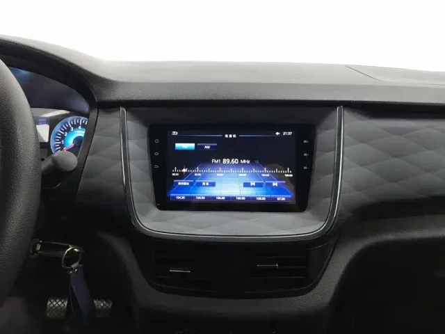 Jinbei Golden Sea Lion Classic 2023 2.0L Cargo Engineering Lion 2-seater — Фото автомобиля 12