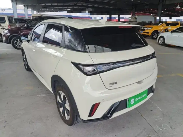 BYD Dolphin — Фото автомобиля 4
