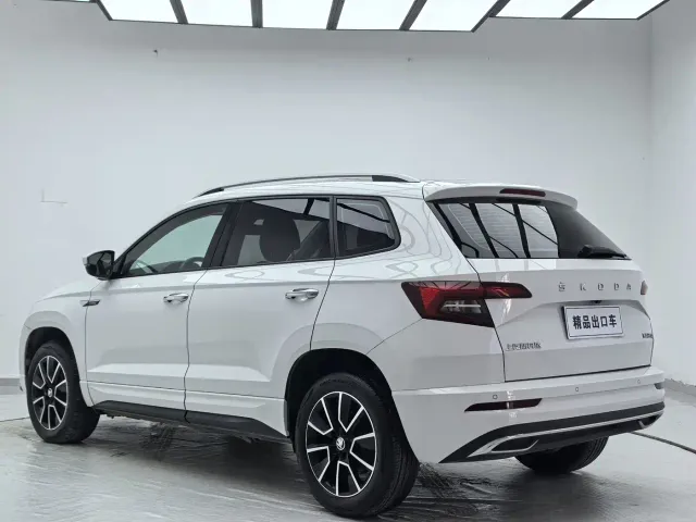 Skoda Karoq — Фото автомобиля 6