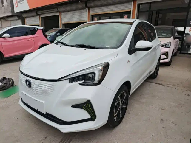 Фотография автомобиля — Changan Benben E-Star