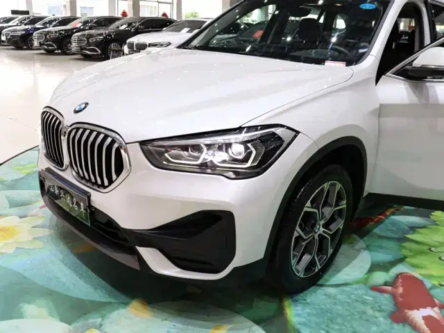 BMW X1 — Фото автомобиля 25