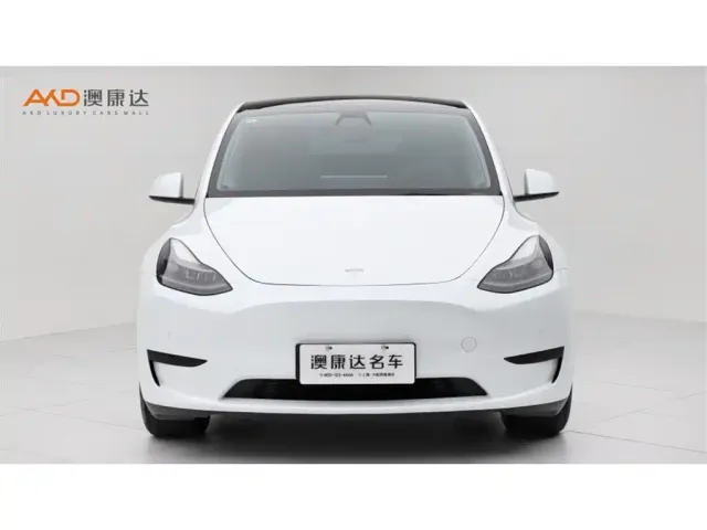 Tesla Model Y — Фото автомобиля 2
