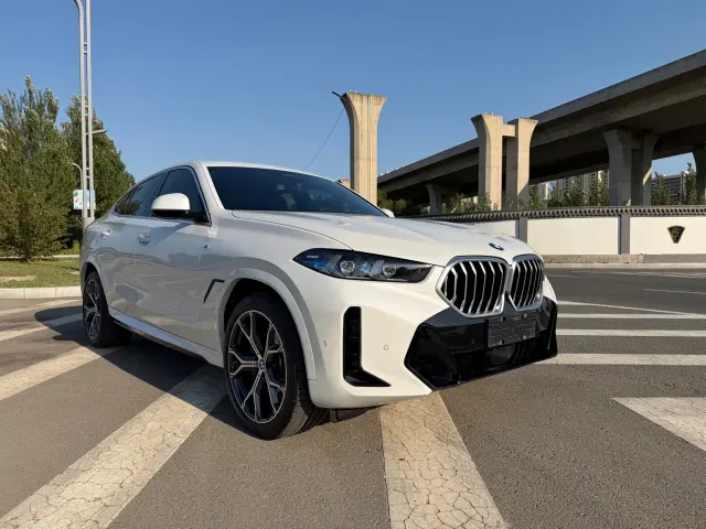BMW X6 — Фото автомобиля 2