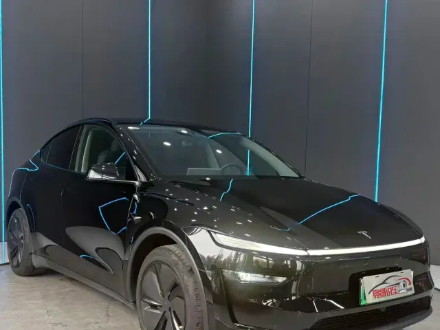 Tesla Model Y — Фото автомобиля 3