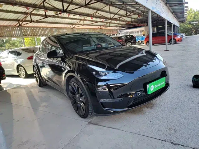 Tesla Model Y — Фото автомобиля 3