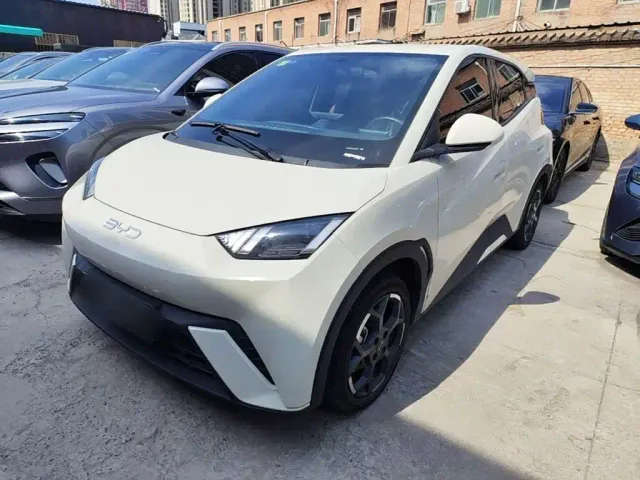Фотография автомобиля — BYD Seagull