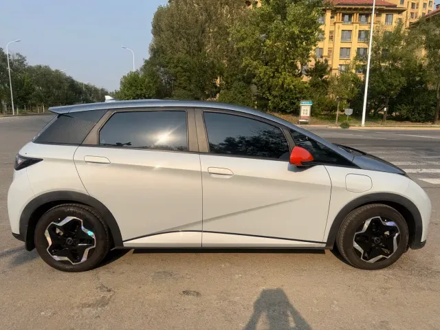 BYD Dolphin — Фото автомобиля 3