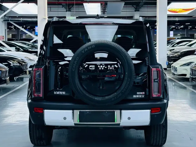 Haval Raptor — Фото автомобиля 14