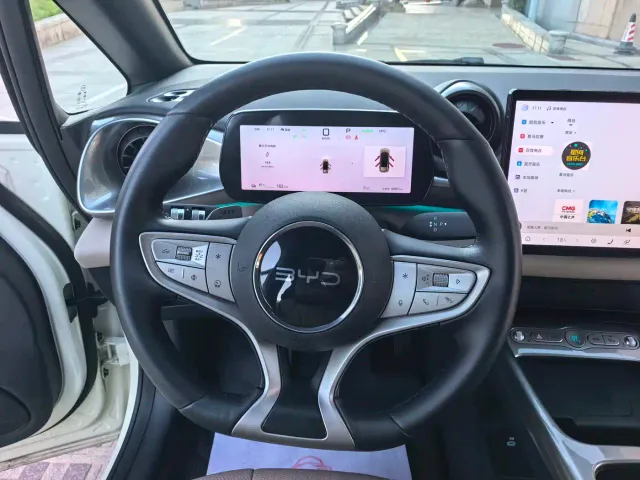 BYD Dolphin — Фото автомобиля 14