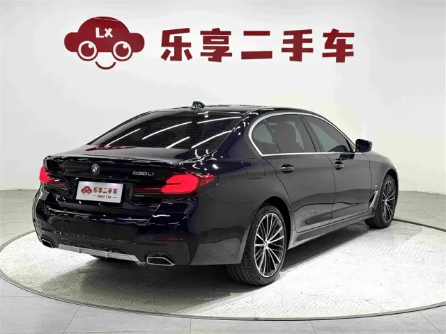 BMW 5 Series — Фото автомобиля 5