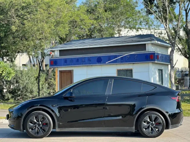 Tesla Model Y — Фото автомобиля 3