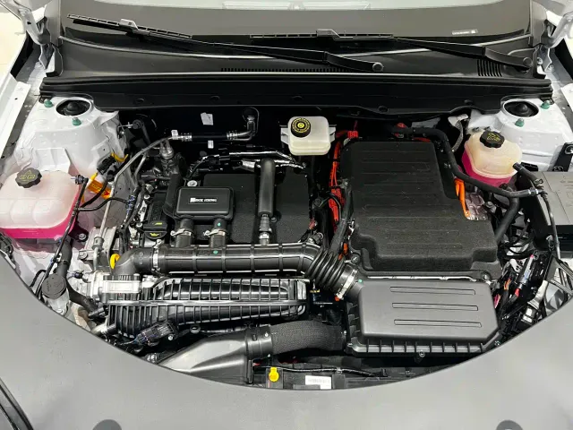 BYD Qin PLUS — Фото автомобиля 27