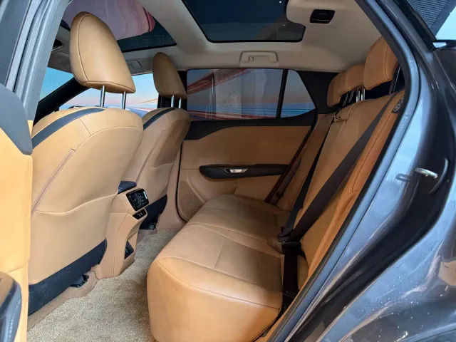 Lexus RZ — Фото автомобиля 7