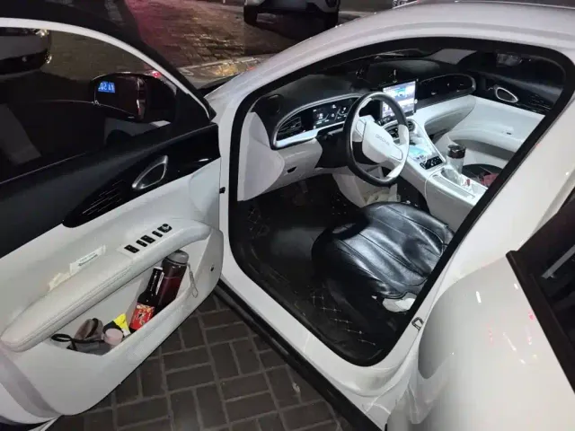 Geely Starry Wish — Фото автомобиля 12