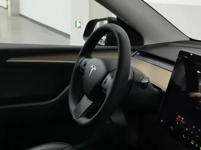 Tesla Model Y — Фото автомобиля 22