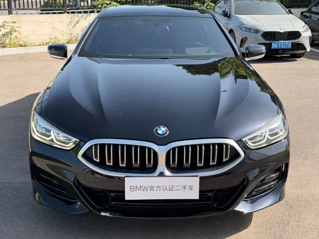 BMW 8 Series — Фото автомобиля 6