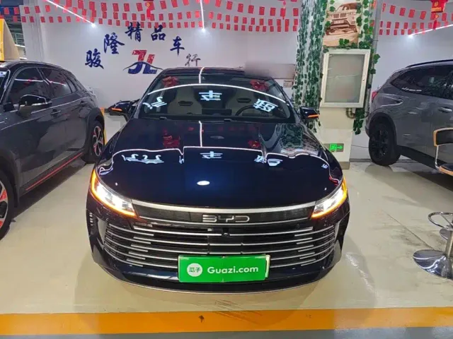 BYD Destroyer 05 — Фото автомобиля 2