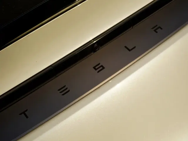 Tesla Model Y L — Фото автомобиля 8