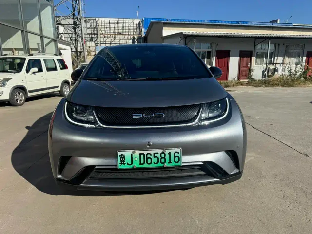 BYD Dolphin — Фото автомобиля 2