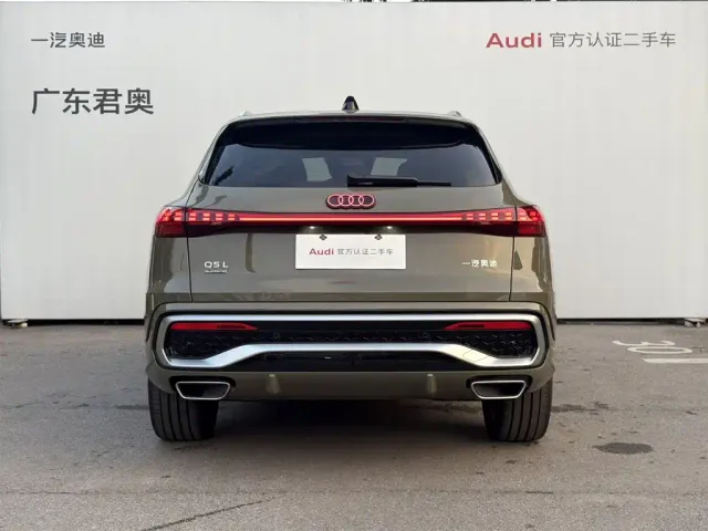Audi Q5L — Фото автомобиля 16