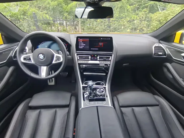 BMW 8 Series — Фото автомобиля 28