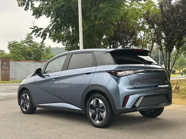 BYD Dolphin — Фото автомобиля 12