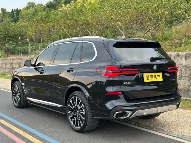 BMW BMW X5 2023 xDrive 40Li M Sport Black Night Package — Фото автомобиля 16