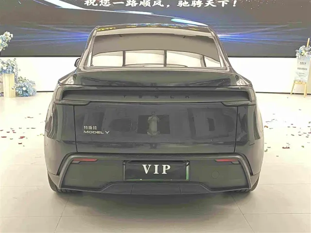 Tesla Model Y — Фото автомобиля 5